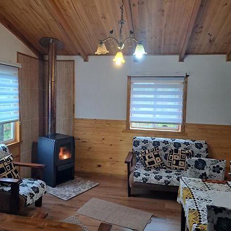Cabanas Robinson Puyuhuapi Zewnętrze zdjęcie